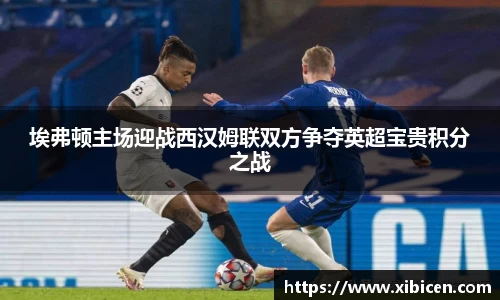 埃弗顿主场迎战西汉姆联双方争夺英超宝贵积分之战